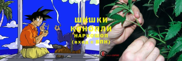 дмт Киреевск