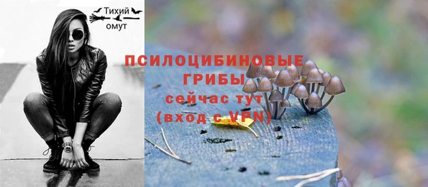стафф Козельск