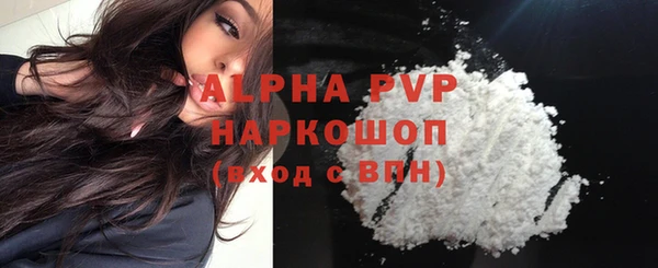 стафф Козельск
