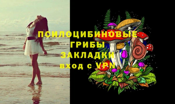 2c-b Кодинск