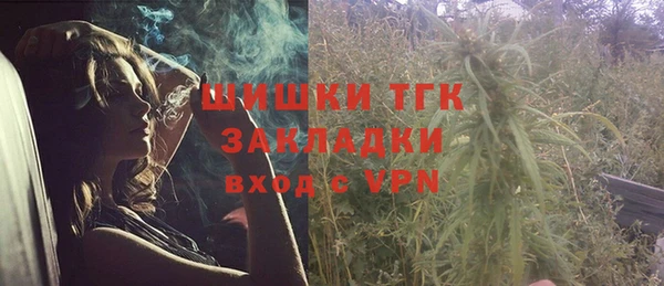 стафф Козельск