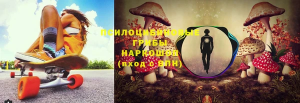 винт Кинешма