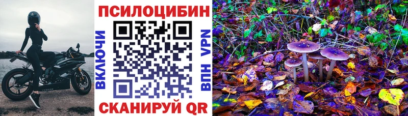 Псилоцибиновые грибы MAGIC MUSHROOMS  Купить где  Липки 